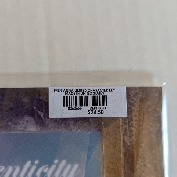 Disney Princess Anna Frozen Character Key - Picture 3 of 7